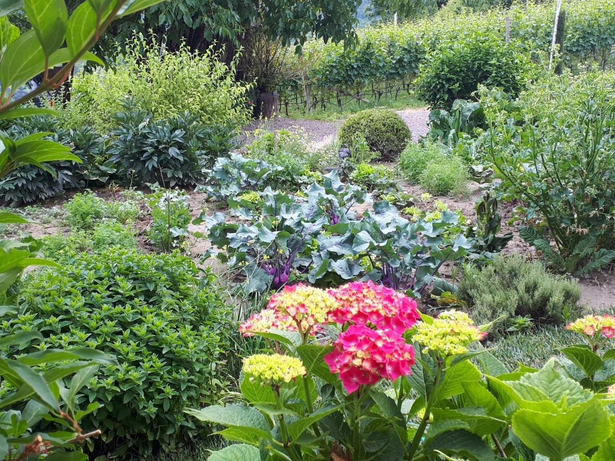 Weingut Weidlhof - Suite & Breakfast - Vacation For Wine Lovers كالدورا المظهر الخارجي الصورة
