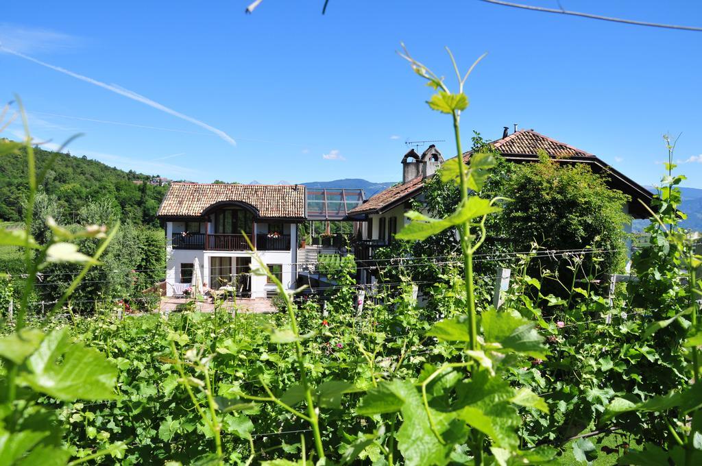 Weingut Weidlhof - Suite & Breakfast - Vacation For Wine Lovers كالدورا المظهر الخارجي الصورة